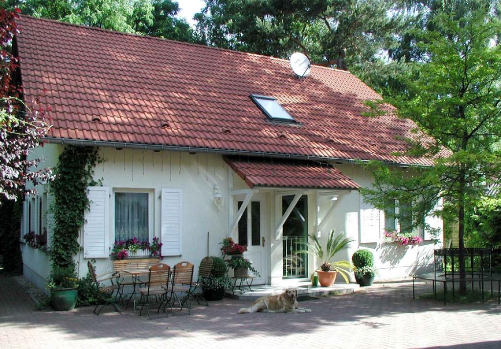 Biggis Waldpension Михендорф Экстерьер фото